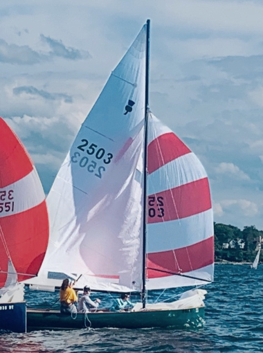 Thistle 2503 with spinnaker